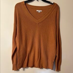 American Eagle Outfitters Warm Brown V-Neck Sweater